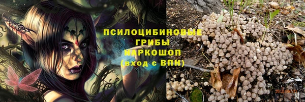 spice Алексеевка